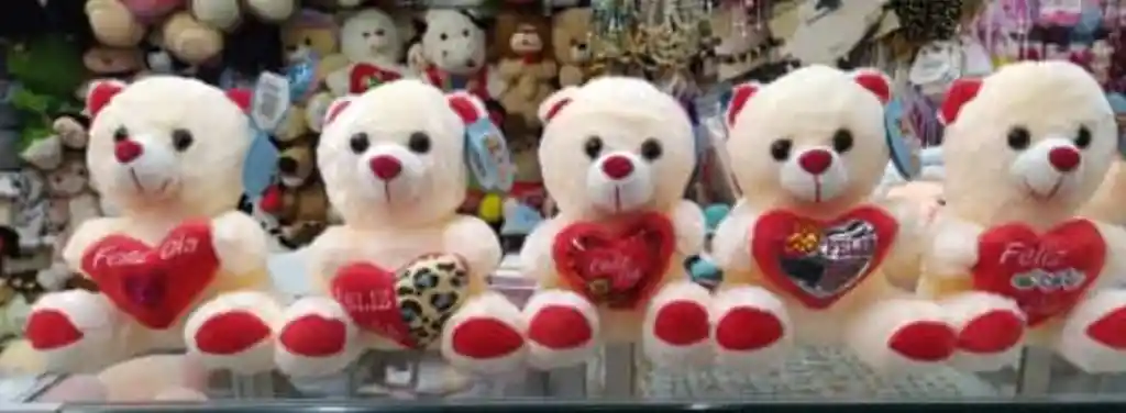 Oso Peluche Pequeño