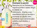 Shampoo, Mascarilla Ancestral Y Oleo Brillo Infinito B8 La Poción