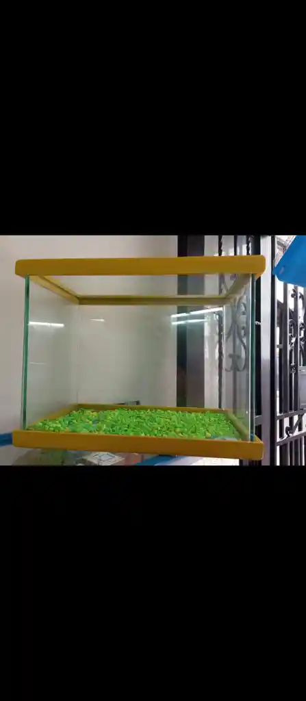 Acuario Mediano Cuadrado