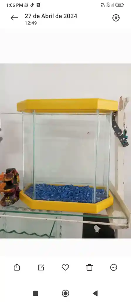 Acuario Rubí Pequeño