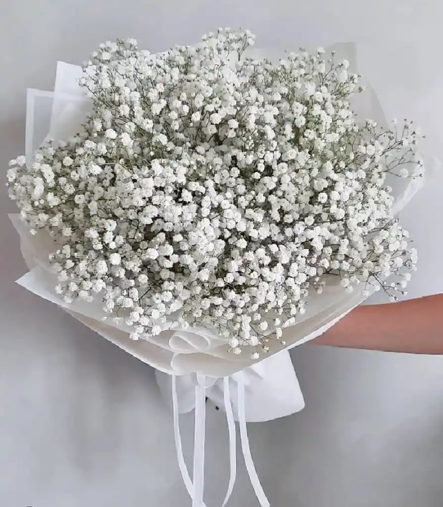 Bouquet Gypsophilia