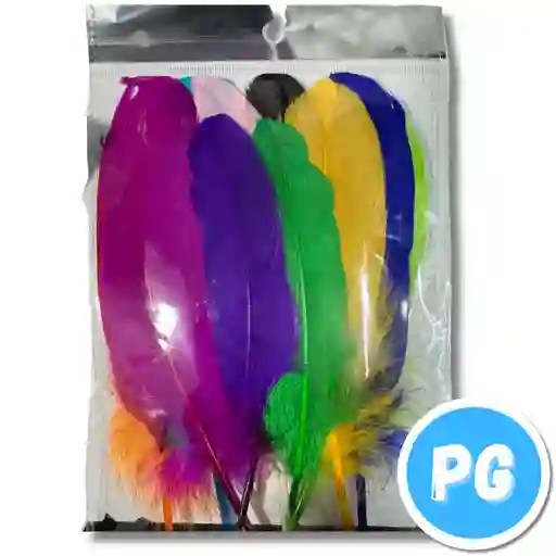 Paquete De Plumas X12 Unds Surtidas