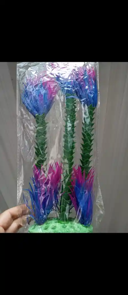 Palmera