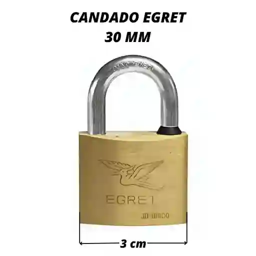 Candado Egret 30 Mm Dorado