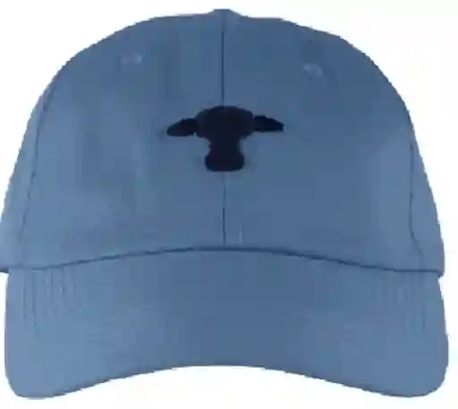 Gorra Azul / Azul