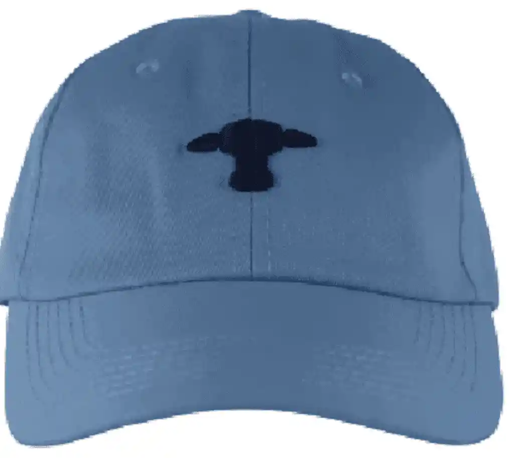 Gorra Azul / Azul