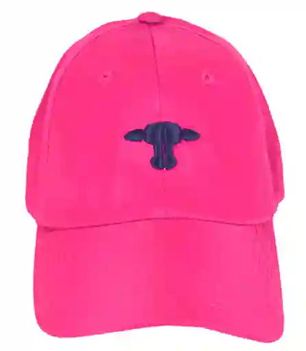 Gorra Fucsia / Azul