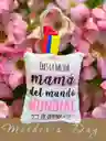 Llavero Del Dia De La Madre, Almohadilla Con Frases Motivacionales Del Día De Las Madres Detalles Únicos