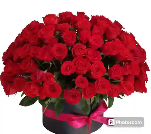 Rosas Rojas