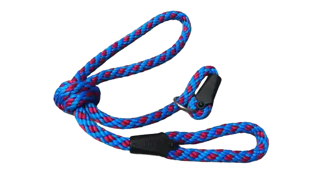 Collar De Ahogo Para Perros Pequeño Azul Con Fucsia