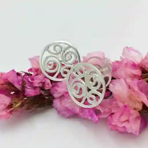 Aretes Espiral De Plata