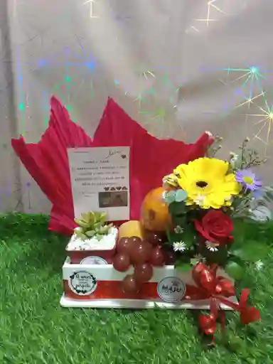 Ancheta De Flores Suculenta Y Frutas