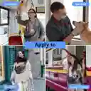 Cargador Portátil Para Mascotas: Bolsa De Viaje Para Perros