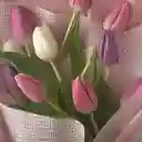 Tulipanes En Bouquet