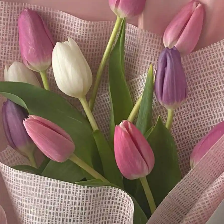 Tulipanes En Bouquet