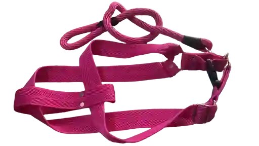 Arnes Con Correa Para Perros Talla Xl Fucsia