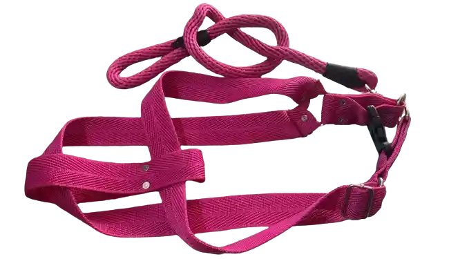 Arnes Con Correa Para Perros Talla Xl Fucsia