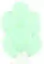 Bombas / Globos R-12 Verde Menta Rumatex X12 Unidades