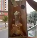 Cúpula De Fe Y Amor Eterno — El Regalo Emblema Para Mamá
