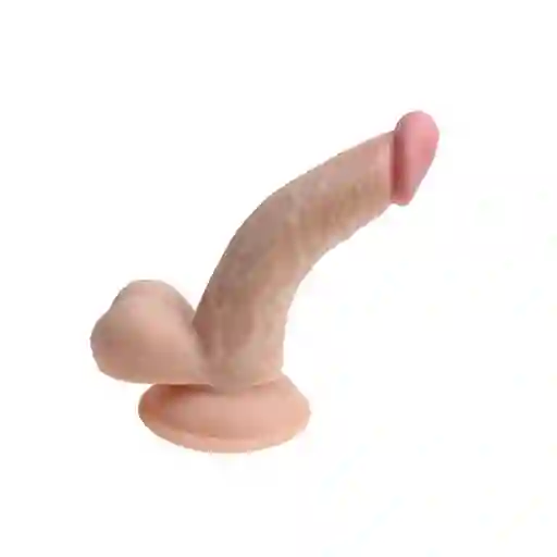 Dildo Realista Curvo Aton 17.5 Cm Camtoyz