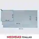 Toalla Microfibra Set 3 Fitnics Secado Rapido + Estuche Viaje