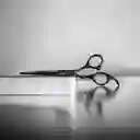 Tijera Profesional Corte De Cabello (filo Liso) Negra
