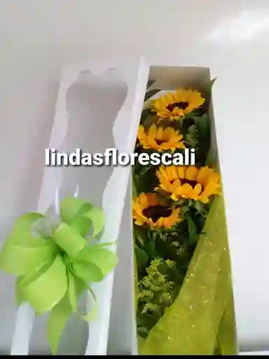 Detalle Girasoles
