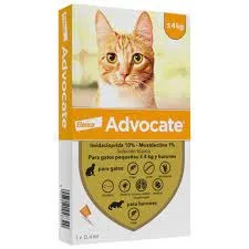 Advocate Gatos