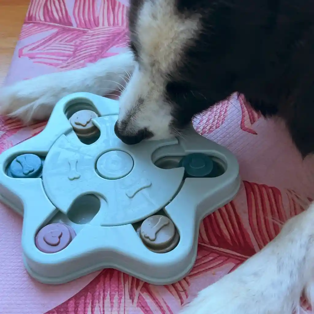 Juguete Interactivo Dispensador Para Perros Estrella Verde