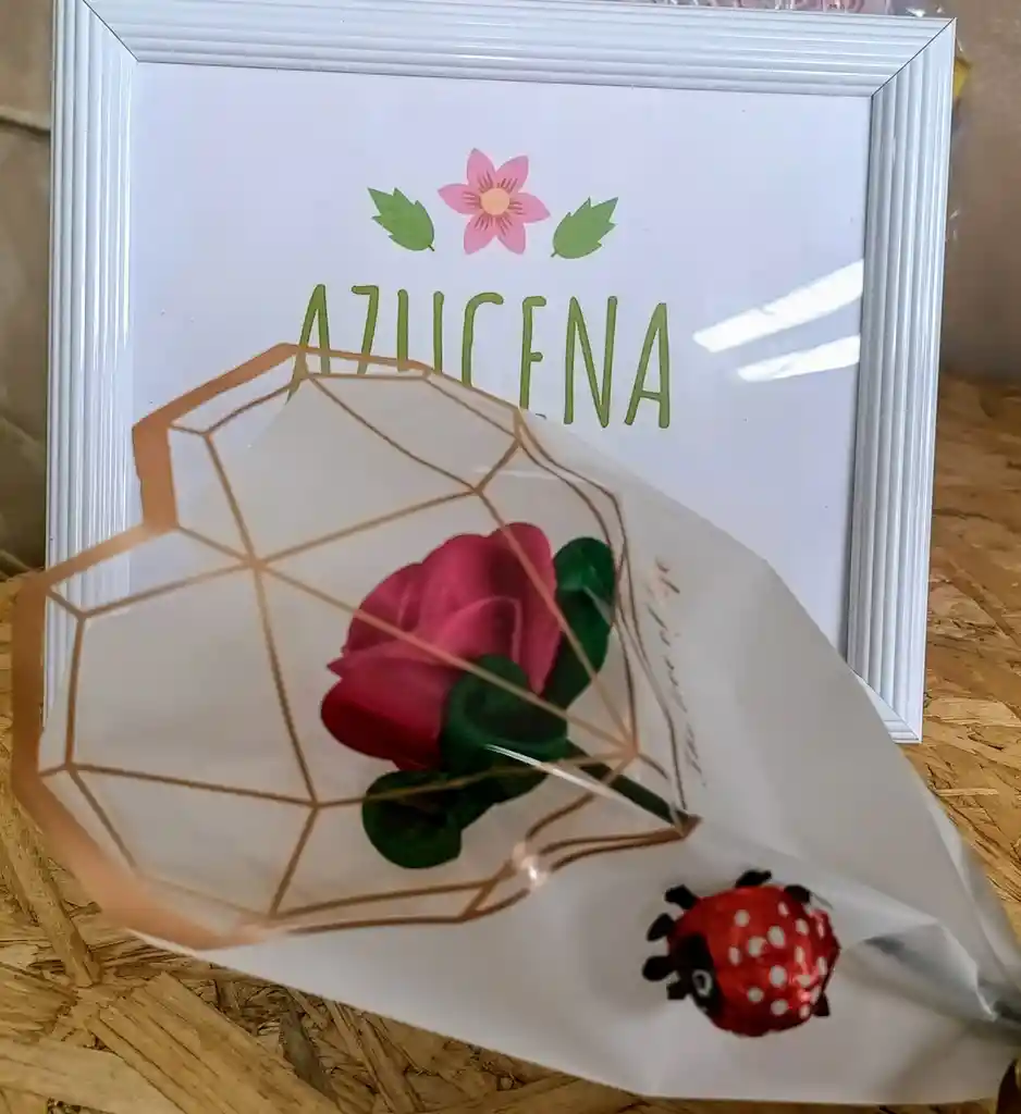 Solitario Flor Eterna Magenta