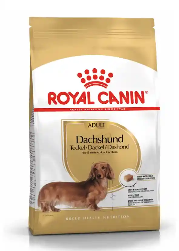 Royal C. Perro Dachshund Adulto X 1.5kg