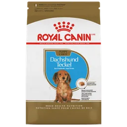 Royal C. Perro Dachshund Puppy X 1.13kg