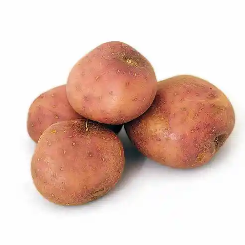Papa Lavada