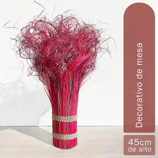 Coco Natural Tonos Magenta