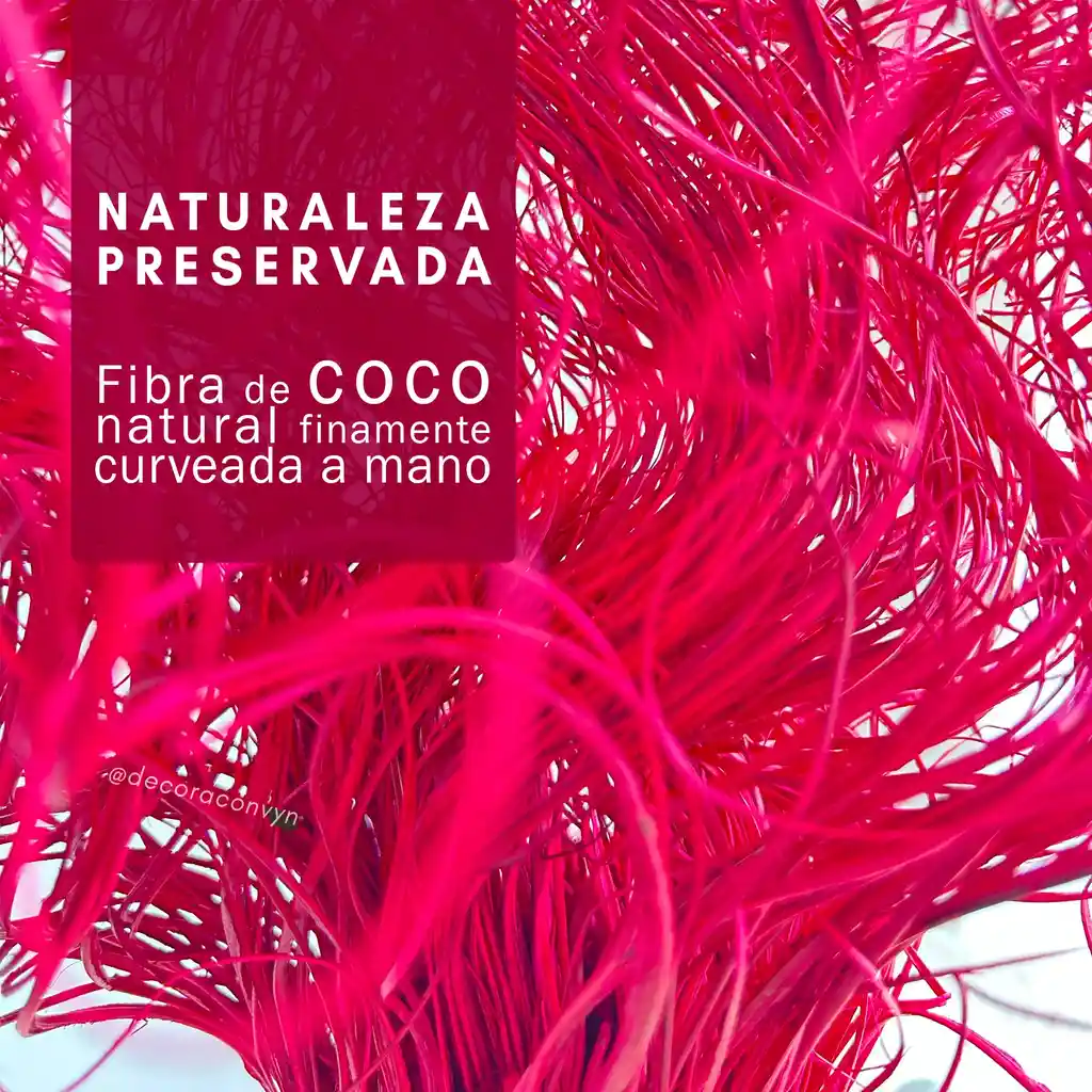 Coco Natural Tonos Magenta