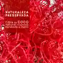 Coco Natural Naranja