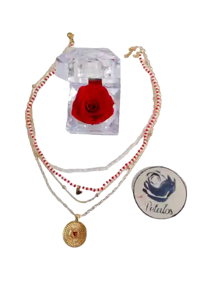 Cofre De Lujo De Rosa Preservada Roja Con Collar De Corazón