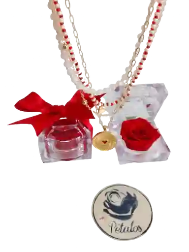 Cofre De Lujo De Rosa Preservada Roja Con Collar De Corazón
