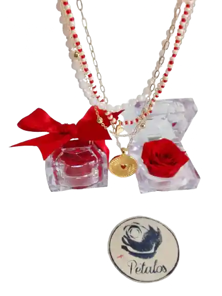 Cofre De Lujo De Rosa Preservada Roja Con Collar De Corazón