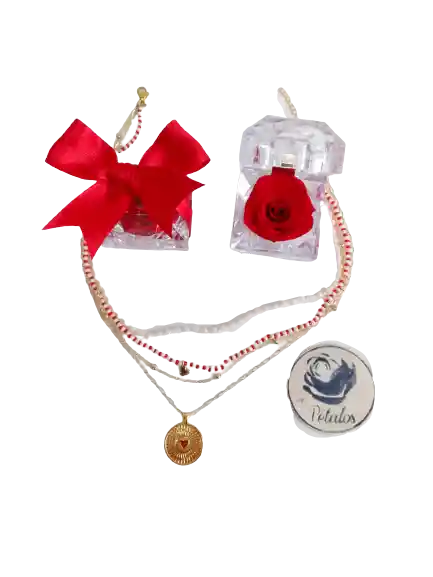 Cofre De Lujo De Rosa Preservada Roja Con Collar De Corazón