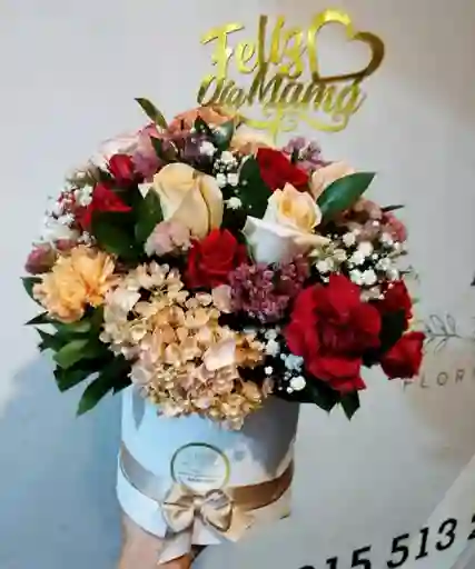 Cajadiademadre