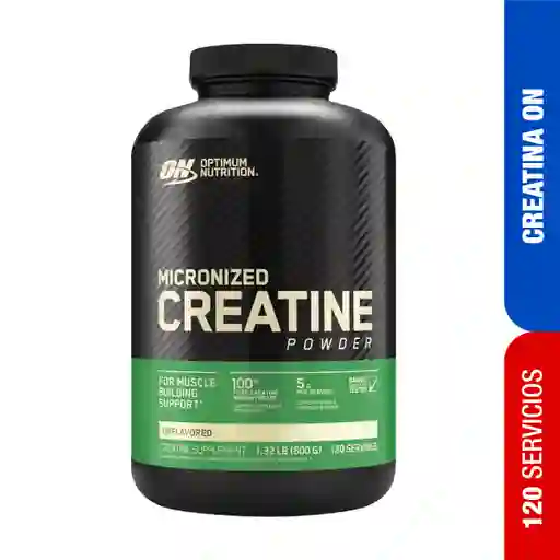 Creatina Micronizada Optimum Nutrition 120 Servicios