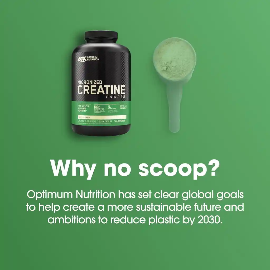 Creatina Micronizada Optimum Nutrition 120 Servicios