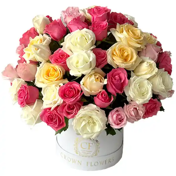 Especial Dia De Madres - Dream Box