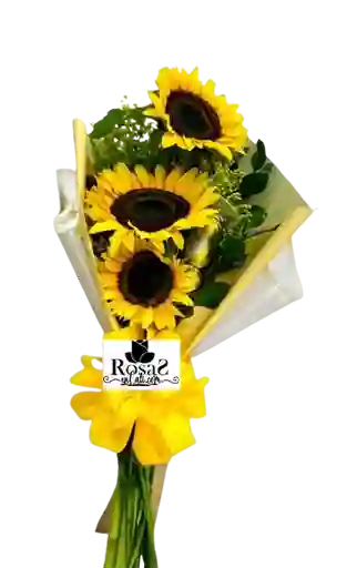 Girasoles En Cali