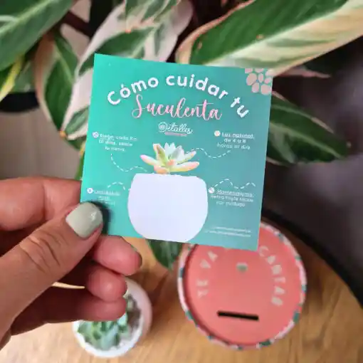 Regalo Única Como Tú 🌷 – Día De La Madre