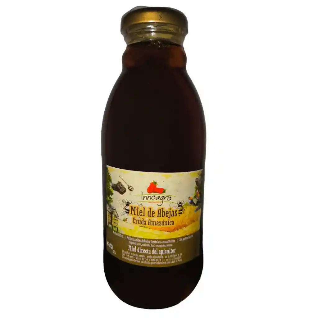 Miel De Abejas Cruda Amazonica 585 Gr