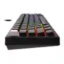 Teclado Mecánico Gamer 65% Havit Kb874l Rgb Retroiluminado