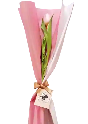 Bouquet Deluxe De Un Tulipán Rosado