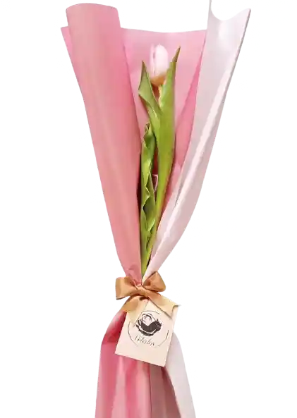 Bouquet Deluxe De Un Tulipán Rosado